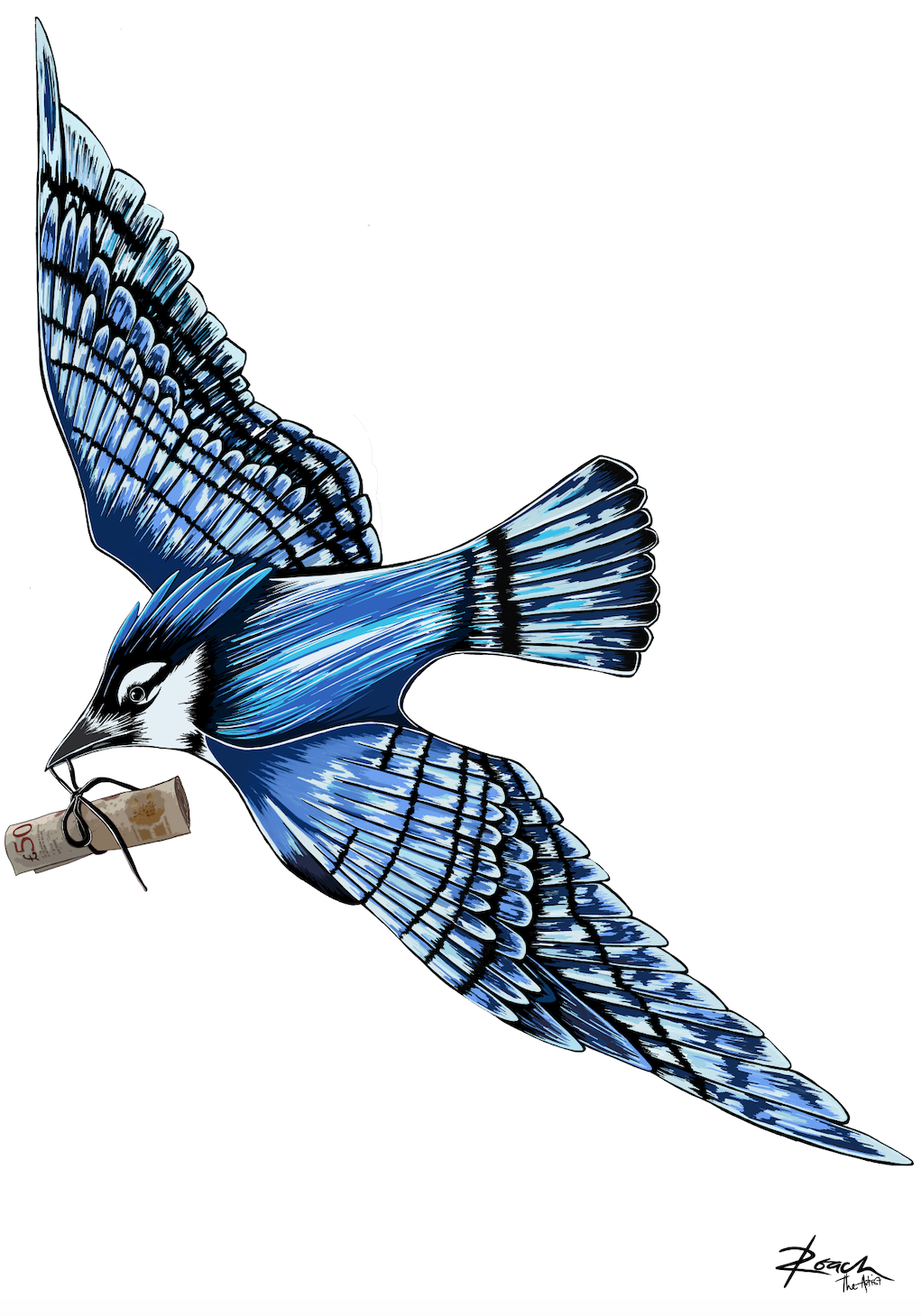 Money Nature Blue Jay Print